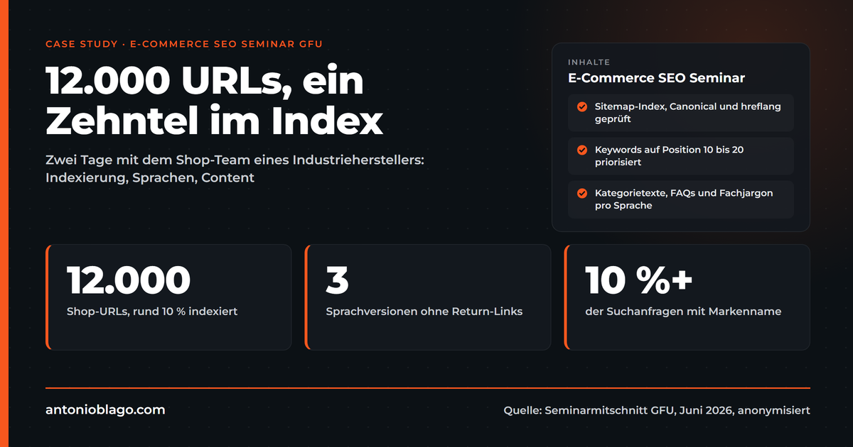 E-Commerce SEO Seminar Case Study: B2B-Shop mit 12.000 URLs