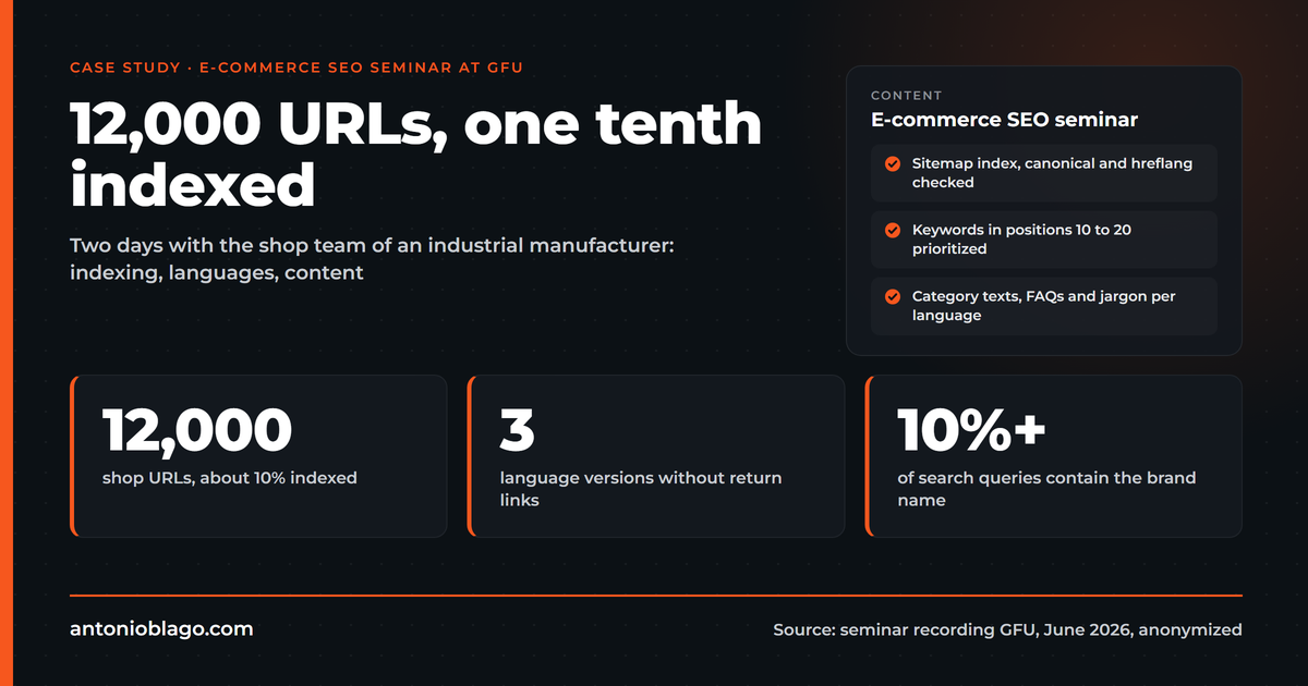 E-commerce SEO Seminar Case Study: B2B Shop, 12,000 URLs