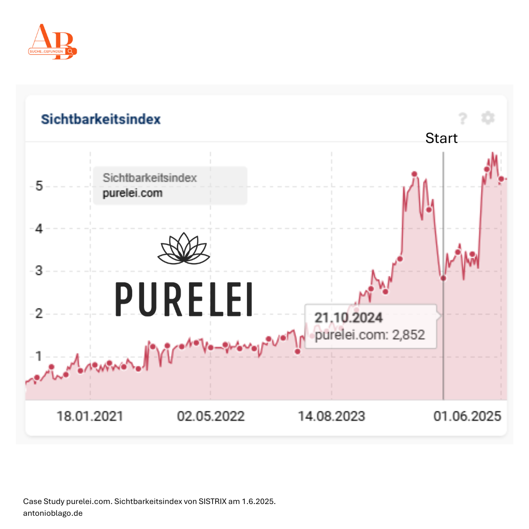 E-commerce SEO Case Study mit PURELEI